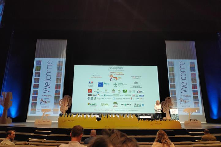 Vierter World Congress on Agroforestry 2019 in Montpellier, Frankreich | Quelle: © Johannes Hafner.