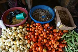 Ernährungssicherheit in Tansania