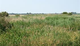 Hydrology in biodiversity research