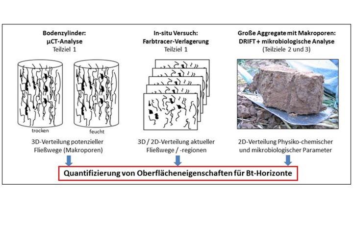 Quantifizierung von Oberflächeneigenschaften für Bt-Horizonte | Quelle: © Dr. M. Leue