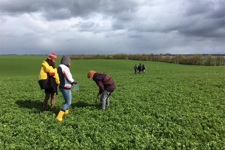 Caption: Students of the HNEE are investigating soils at the ZALF research station Dedelow | Quelle: © Prof. Dr. Wilfried Hierold