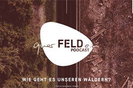 querFELDein-Podcast zum Thema Wald