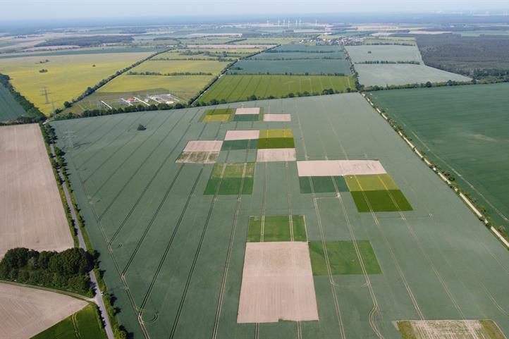 ZALF's patchCrop experiment is investigating the effects of new field arrangements on pesticide use, soil health and biodiversity, among other things | Source: © Marten Schmidt / ZALF.