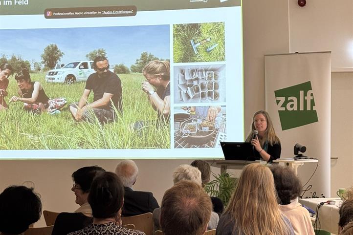 The master's thesis by Karla Marie Barfuss, winner of the 2024 prize, helps researchers to better understand the details of nutrient uptake by plants. In an elaborate study, Barfuss investigated the connection between the development of plant roots and the colonization of the roots by mycorrhizal fungi. Photo: Lena Domke / ZALF