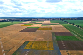 Luftaufnahme des Landschaftslabors patchCROP