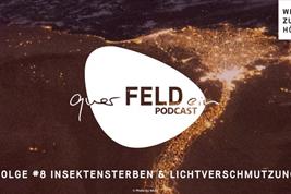 Coverbild der achten querFELDein-Podcastfolge zu Lichtverschmutzung