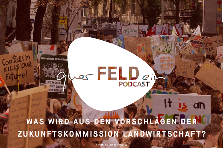 Silvia Bender, Staatssekretärin im Bundesministerium für Ernährung und Landwirtschaft (BMEL) und Prof. Frank Ewert, Wissenschaftlicher Direktor des ZALF, diskutieren im querFELDein-Podcast mögliche Wege von Politik und Forschung für die Landwirtschaft. | Quelle: © LeoSch / Pixabay.