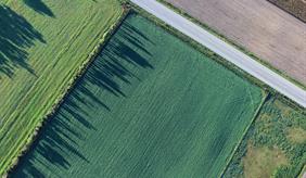 Aerial view of an agricultural landscape in shades of green and brown, divided by a road.