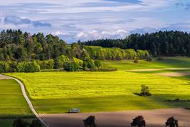 Agrarlandschaft mit Bäumen