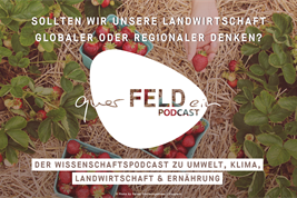 Cover zur Podcastfolge 