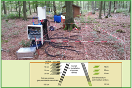 Soil respiration of a European beech and a Scots pine forest