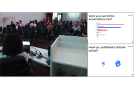 Workshop participants and poll responses