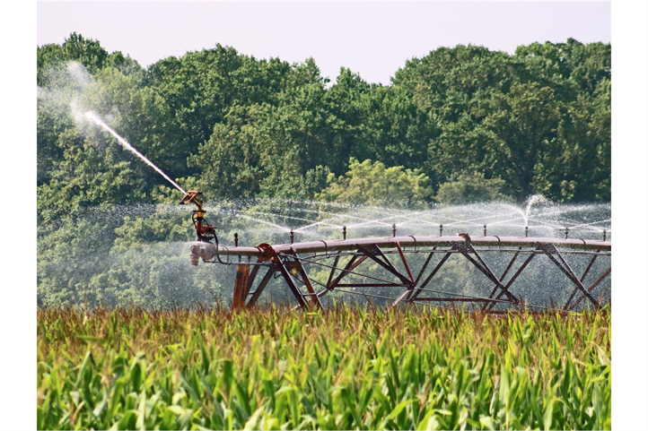 Der Klimawandel verändert die Ernteerträge je nach Art und Region unterschiedlich. In einem Übersichtsartikel haben Forschende, u.a. vom ZALF, experimentelle und modellbasierte Studien ausgewertet und den Einfluss von höheren Temperaturen, veränderter Wasserverfügbarkeit und erhöhtem CO2-Gehalt auf die Erträge der Kulturarten Weizen, Mais, Hirse und Reis untersucht. Es wird deutlich, dass sowohl die Einflüsse als auch die Auswirkungen stark von der Getreideart, der Region und der Anbaumethode abhängen. Das Bild kann für redaktionelle Zwecke unter Angabe der Quelle verwendet werden: © Joseph Fulgham / Pixabay | Bildquelle in Farbe und Druckqualität: http://www.zalf.de/de/aktuelles 