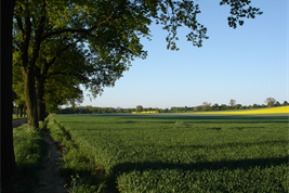 Klimaanpassungsmaßnahmen