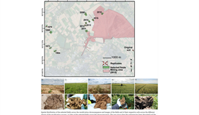Soil fungal community across a 52-year chronosequence of soil recultivation