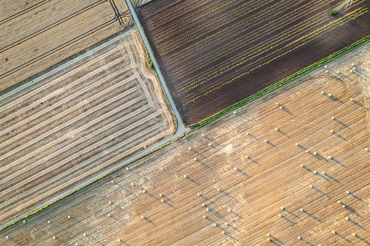 Aerial view of a crop field