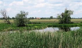 Landschaft in Brandenburg mit Fluss und Feld