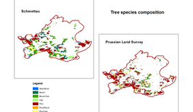 Tree species composition of a landscape in north-eastern Germany in 1780, 1890 and 2010