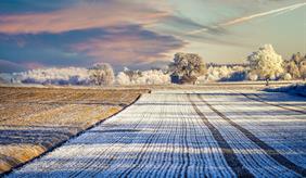 Field in winter covered with frost