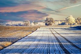 Frostbedecktes Feld