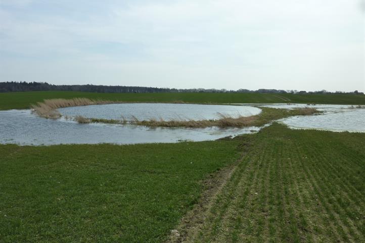 Überflutetes Soll in Rittgarten (Uckermark)