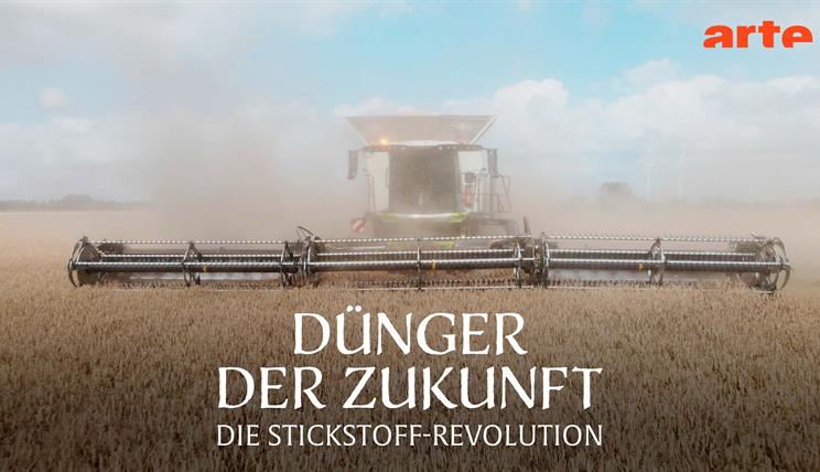 Mähdräscher im Feld