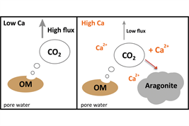 Calcium vermindert CO2-Ausstoß aus arktischen Böden durch Mineralbildung