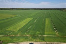 Drohnenbild Feld