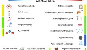 Effects of reactive silica