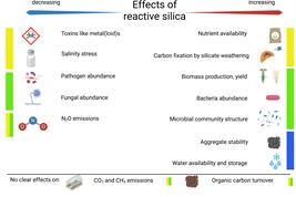 Effects of reactive silica
