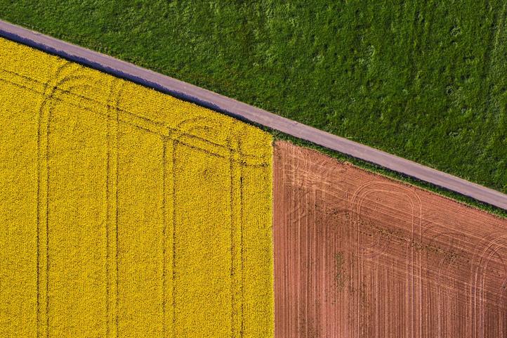 Luftaufnahme einer landwirtschaftlich genutzten Fläche mit blühendem Raps (links), vorbereiteten Ackerflächen (unten rechts) und Grünland (oben rechts). Raps gehört zu den wichtigsten Energiepflanzen in Europa und wird unter anderem für die Herstellung von Biodiesel angebaut. Die Nutzung solcher nachwachsenden Rohstoffe steht im Zentrum aktueller Bioökonomiestrategien – bringt jedoch Zielkonflikte mit sich, etwa zwischen Klimaschutz, Ernährungssicherheit und Biodiversität. Das Bild kann für redaktionelle Zwecke unter Angabe der Quelle verwendet werden: | Quelle: © Jean Wimmerlin/ unsplash.