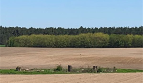 agriculture