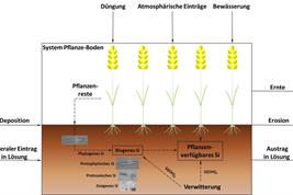 Si-Kreislauf ackerbaulich genutzter Biogeosysteme.