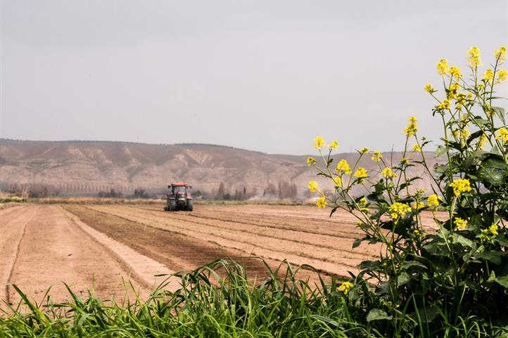 Ein internationales Forschungsteam entwickelte gemeinsam mit Landwirtinnen und Landwirten in der Ebro-Niederung, einer Region mit herausforderndem Klima und Bodenverhältnissen, praktikable Lösungen für vielfältige Fruchtfolgen. | Quelle ©:  Marta Ortigiosa / Unsplash.