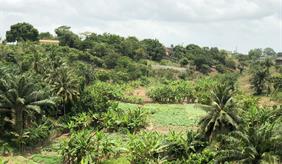 Waldbezirk Juaso, Ghana