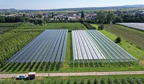 Luftbild einer Agri-PV-Anlage im Obstbau © Fraunhofer ISE