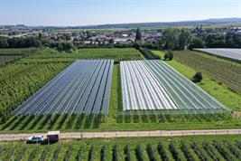 Luftbild einer Agri-PV-Anlage im Obstbau
