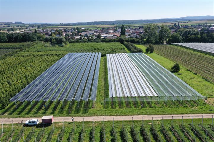 Luftbild einer Agri-PV-Anlage im Obstbau | Quelle: © Fraunhofer ISE.