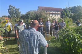 Diskussion zur Moorwiedervernässung auf der Lysimeterstation Paulinenaue