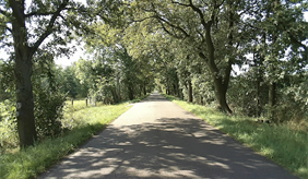 https://homepageint.zalf.de/de/aktuelles/BilderAktuellMeldungen/Meldungen/PB2/Bild_Flyer2.png?RenditionID=2