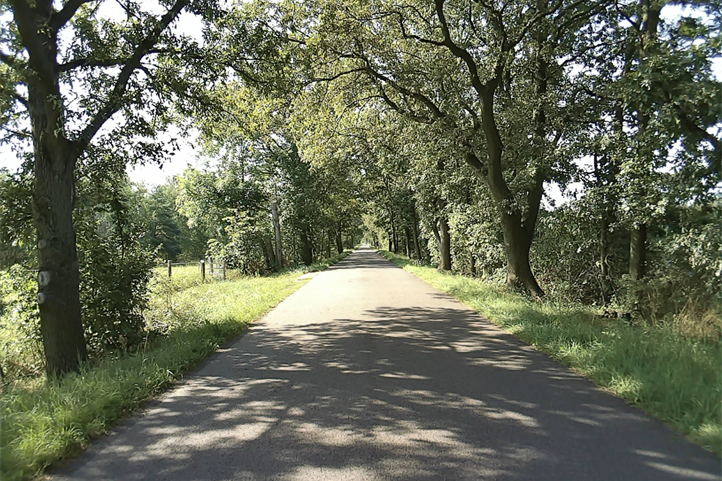 Der Radweg „Kühle Spur“ in der Lausitz ist an den Klimawandel angepasst. Quelle: © Tobias Nowakowski / BTU Cottbus.