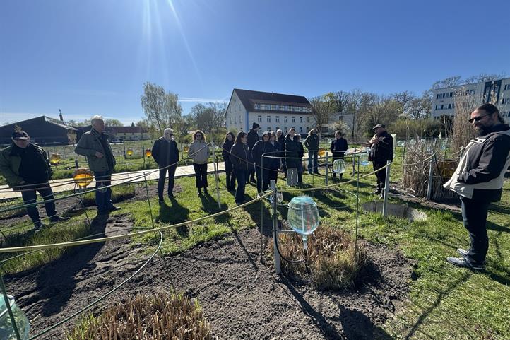 Der Leiter der Forschungsstation Paulinenaue, Dr. Axel Behrend, (zweiter von rechts) demonstriert dem Fachausschuss das Maßnahmen-Labor des FInAL-Projektes, die Lysimeterstation des ZALF in Paulinenaue. Hier wird der Wasserhaushalt der Pflanzenbestände untersucht (Sickerwasser/Verdunstung/Biomasssewachstum und Nährstoffaufnahme) | Quelle: © Frank Eulenstein / ZALF.