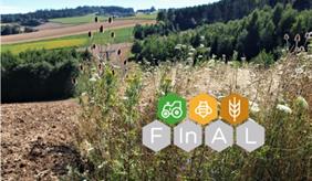 Logo des Projektes FInAL