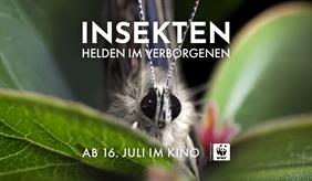 Kinofilm über die verborgene Welt der Insekten
