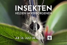 Kinofilm über die verborgene Welt der Insekte