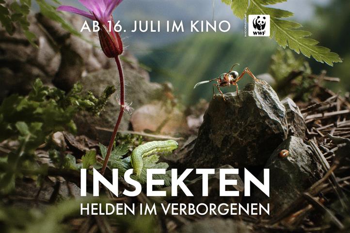 Kinofilm über die verborgene Welt der Insekten | Quelle: © Camino Filmverleih.