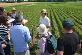 Lupine field day at ZALF