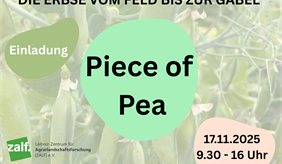 Einladung zum Netzwerktag "Piece of Pea"