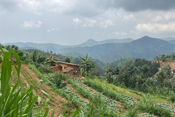  Western Rwanda
 | Source: © Katharina Löhr / ZALF.