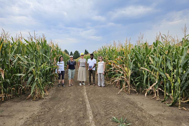  Von links nach rechts: Doktorandin Natalja Pavlovic, Prof. Sonoko D. Bellingrath-Kimura, Dr. Milena Simic, Dr. Richard Omari, und Dr. Vesna Dragicevic
 | Quelle: © Tsvetelina Krachunova / ZALF.